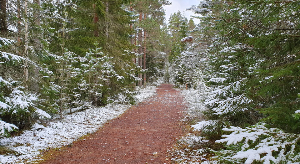 Vandringsled vintertid.
