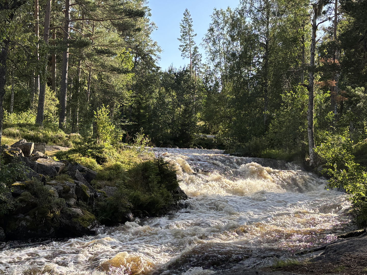 Vy över Skräddartorpsfallet