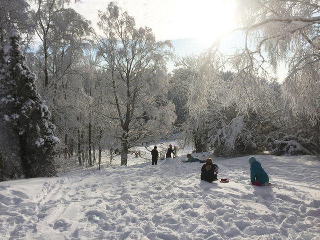 Stora Salen, Naturreservat