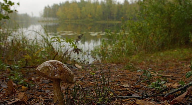 Södra Kroksjön.