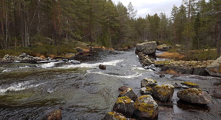 Gryssjöåns virvlande vatten.