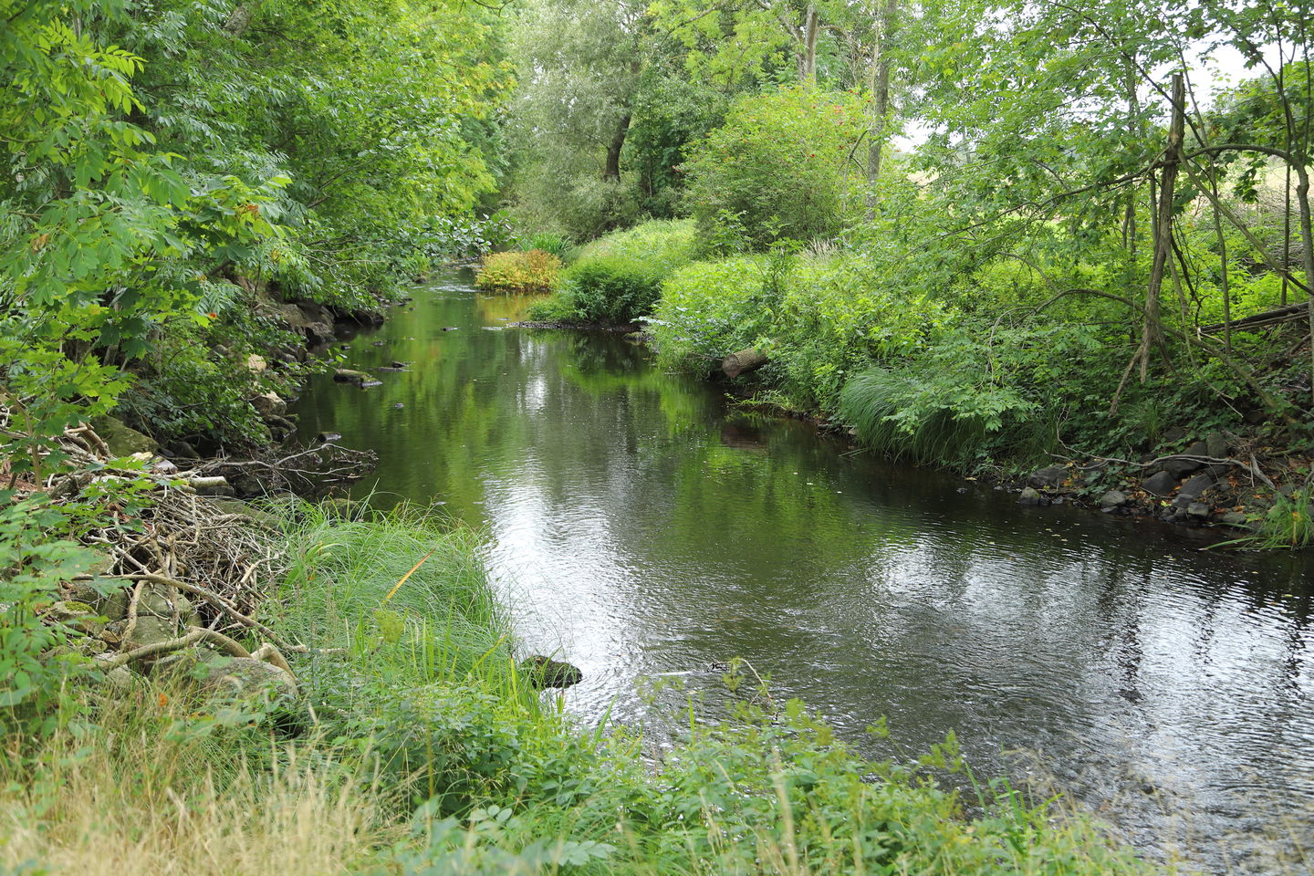 Hagbyån