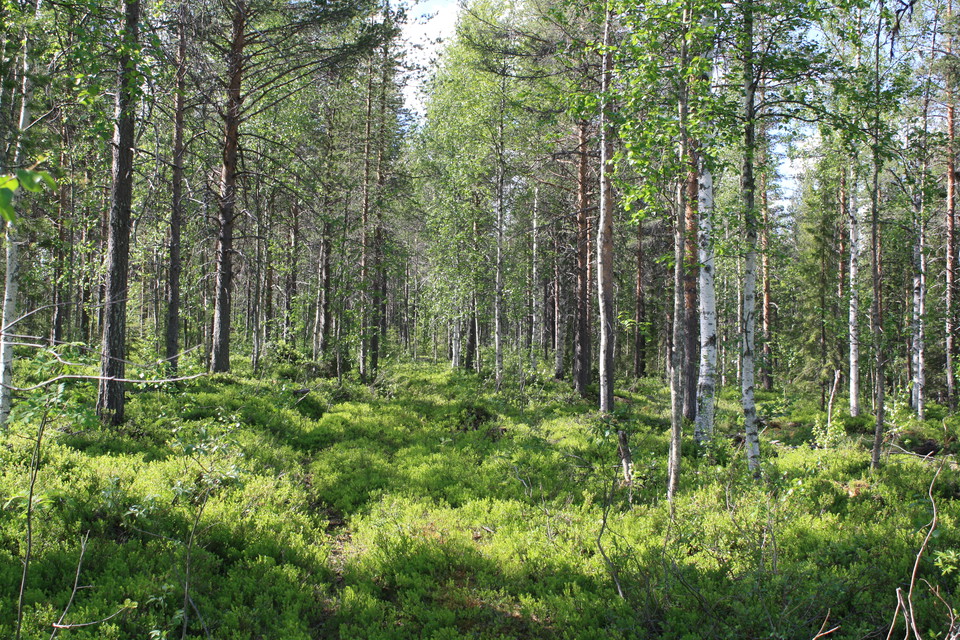 The trail are in bad condition on some parts of the trail