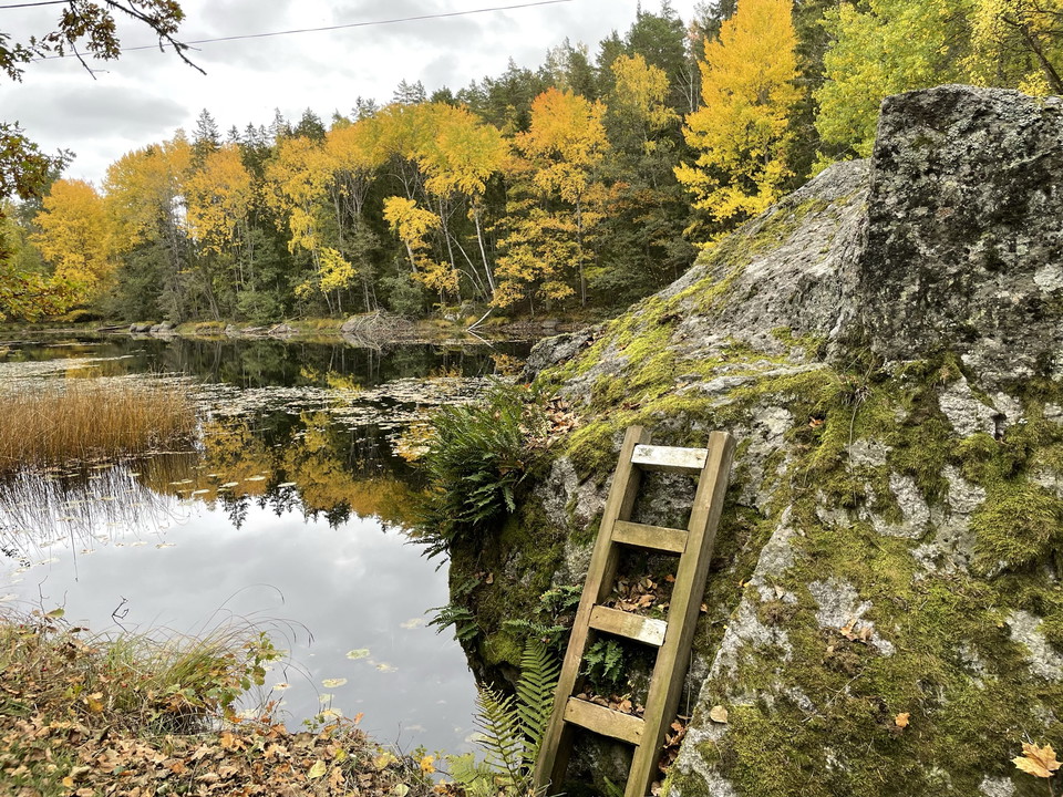 En liten sjö på hösten