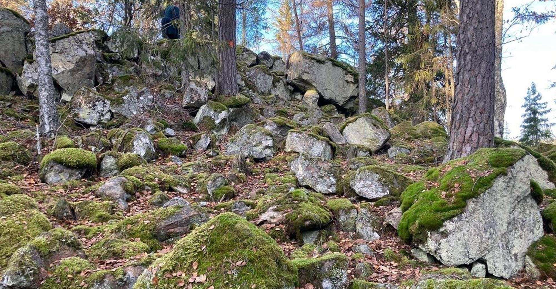 Dacke skans fornborg