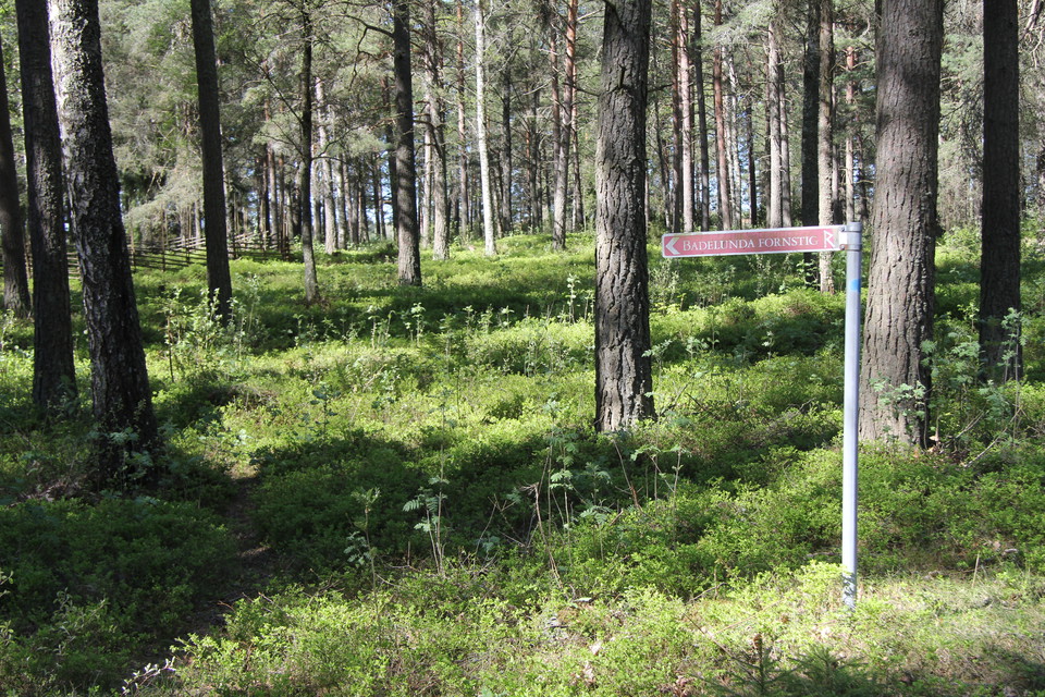 Skylt som visar vägen.