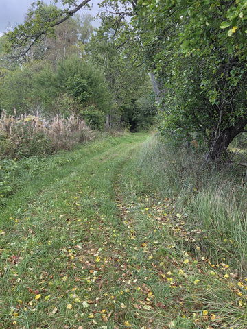 Gemlasjöspåret