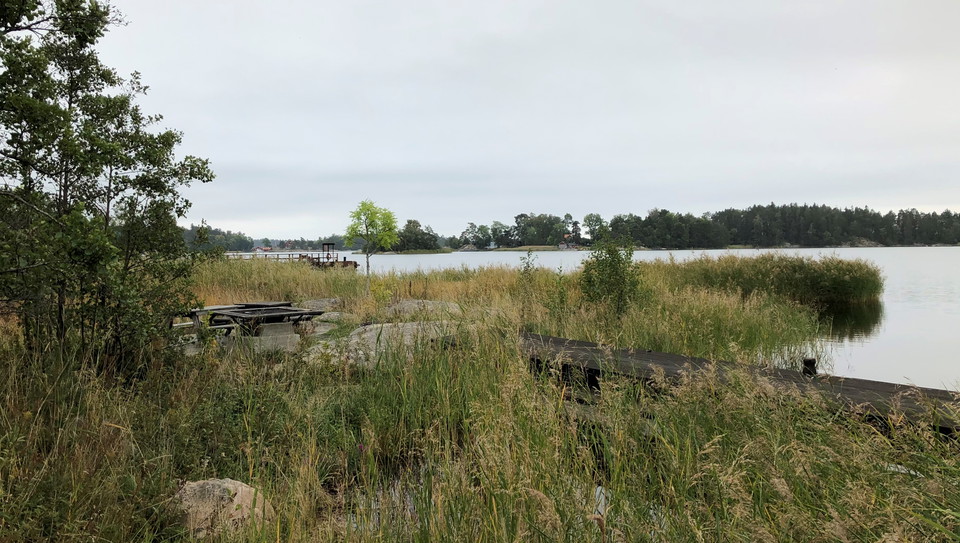 Rastplatsen ligger nästan dold i vassen vid småbåtsbryggan.