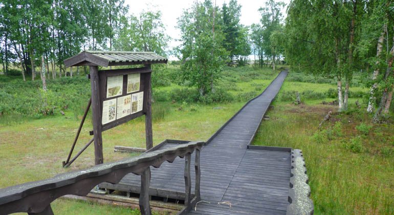 Stornäsets naturreservat.