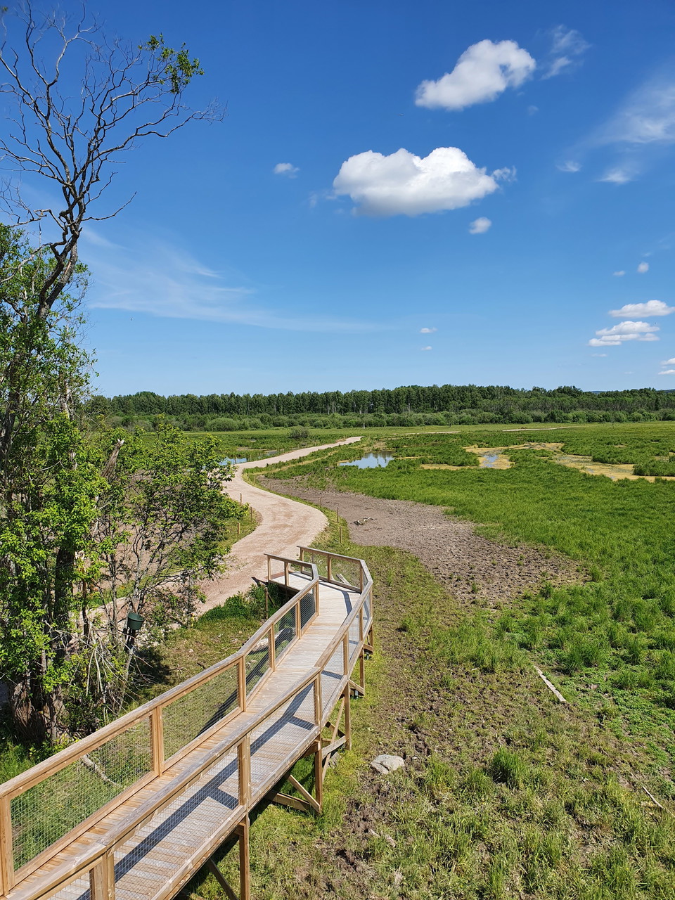 Leden sträcker sig genom landskapet.