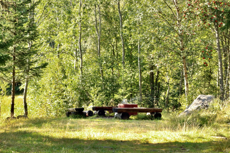 Foto: Emma Johansson