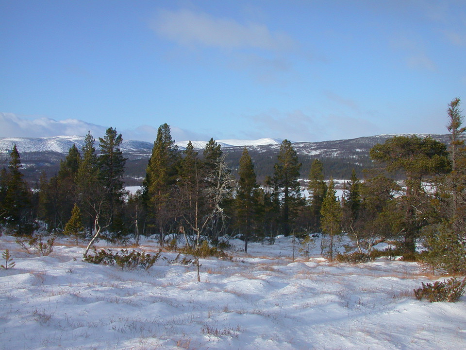 Från Skärvagsdalen syns fjällen