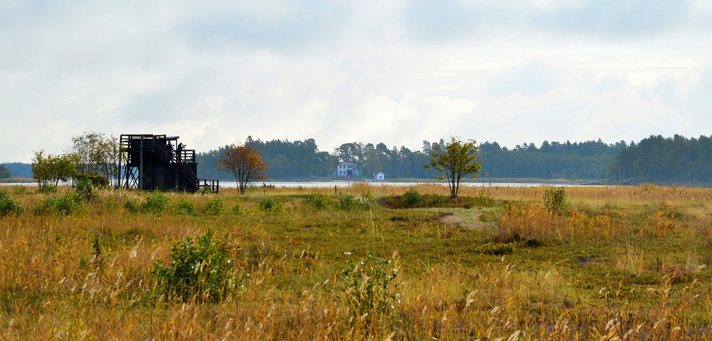 Fågeltornet vid Stenöorns naturreservat