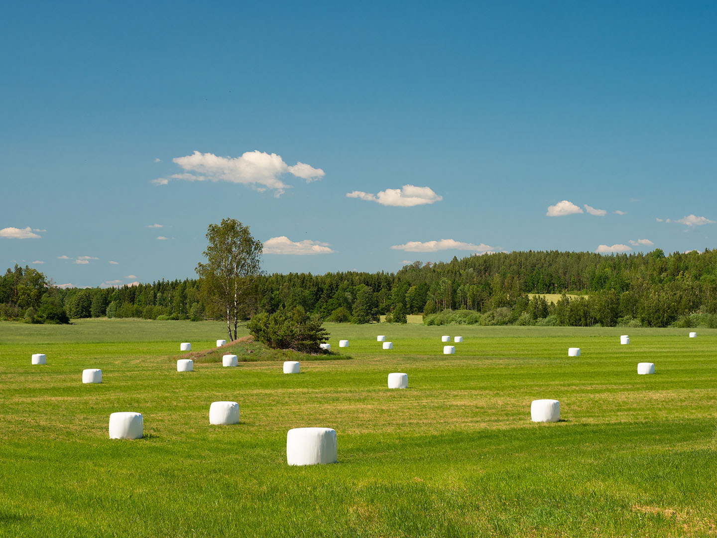 Ändebo - Åsvik, Östgötaleden