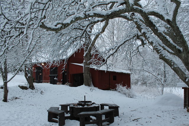 visitor barn in Staffanstorps
