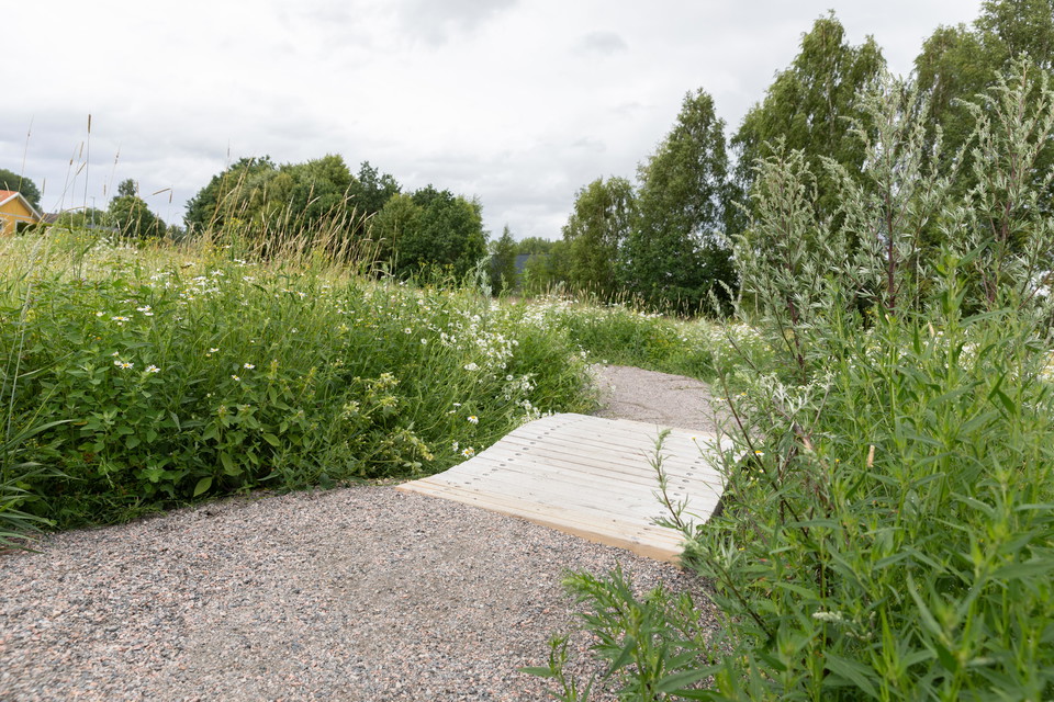Vy över pumptracken. Ett hinder med ramp i slutet av banan.