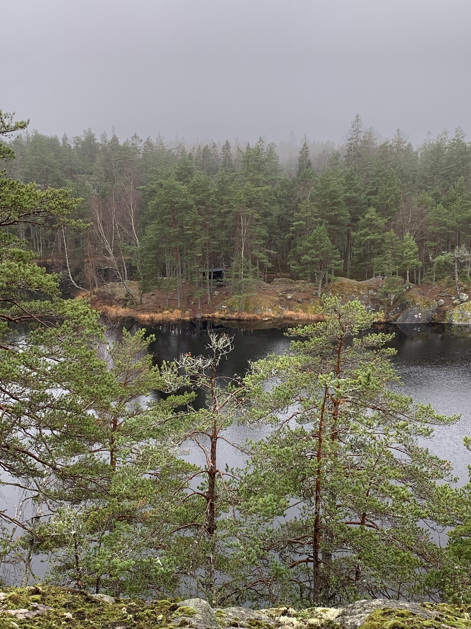 Skymtar du vindskyddet vid Lilla Horssjöns strand?