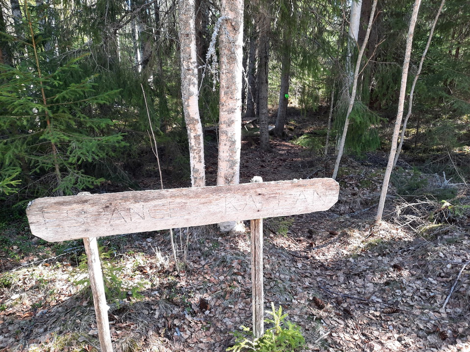 Skylten intill skogsbilvägen/leden visar vägen