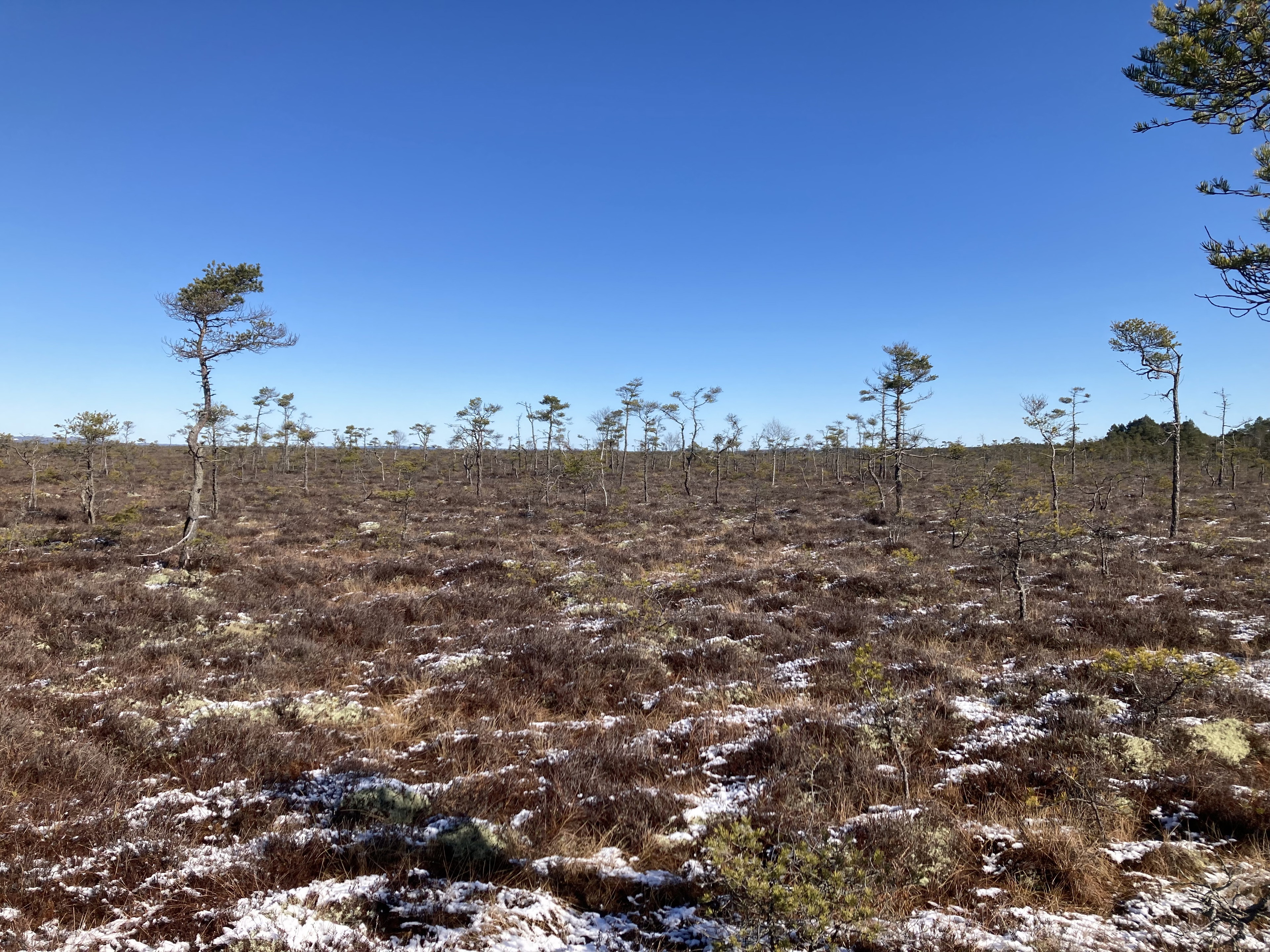 Kärdaleden etapp K2 Kärda - Andersberg - Kävsjö - En del av Smålandsleden