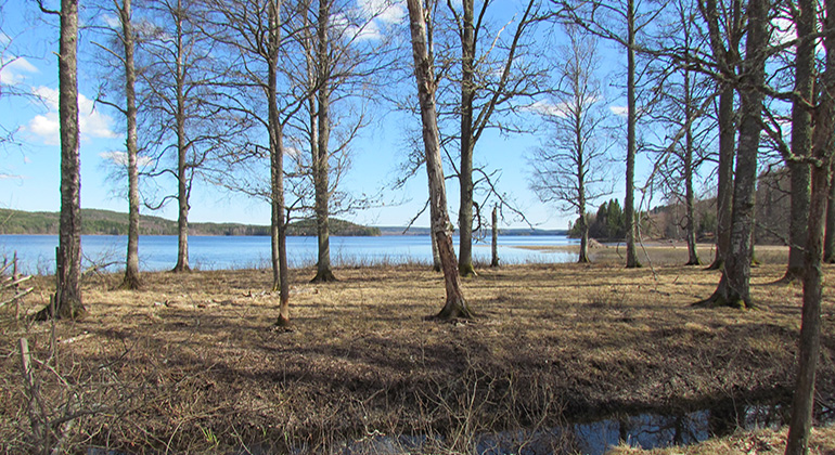 Sjön bredvid Stömne herrgård. Foto Jenny Sander.