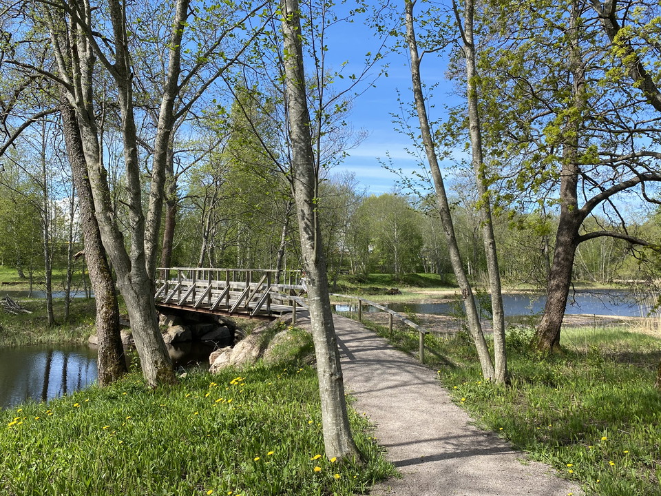 En grusad gångväg leder fram till en bro över ett vattendrag. 