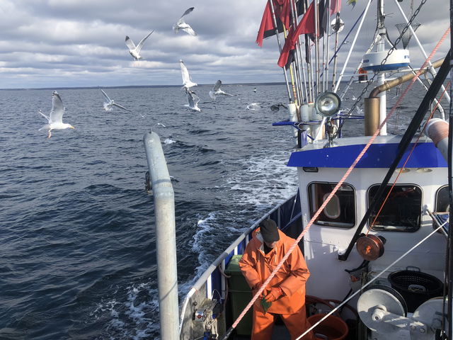 Förbud mot allt fiske 15 september till 31 maj | Fredningsområde Östra Örlundsån