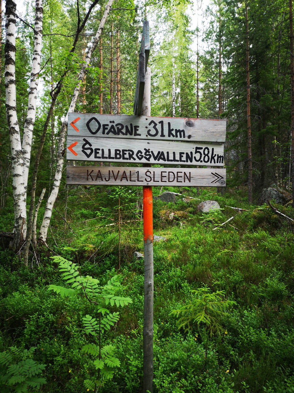 Foto: Åsa Eriksson