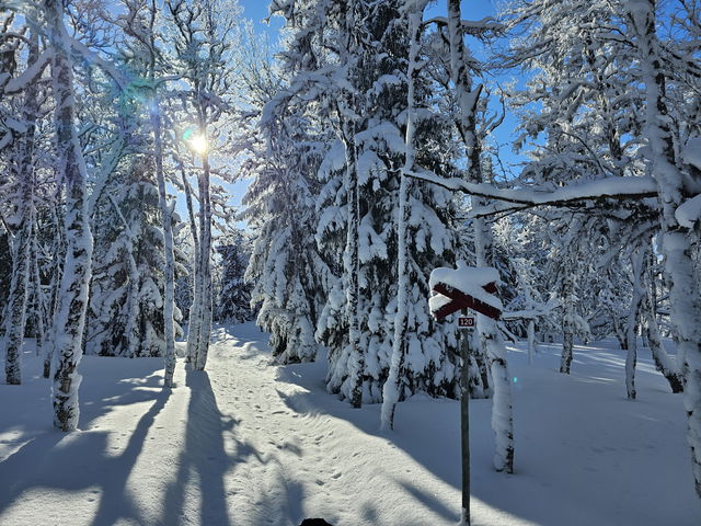 120 Grofjällsrundan (vinterled, Edsåsdalen)