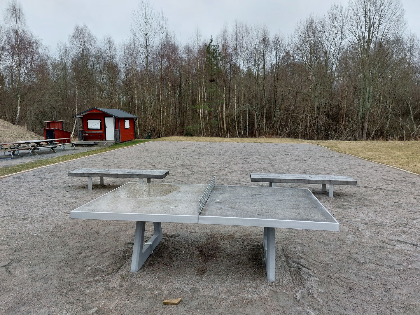 Pingisbord och boulebana