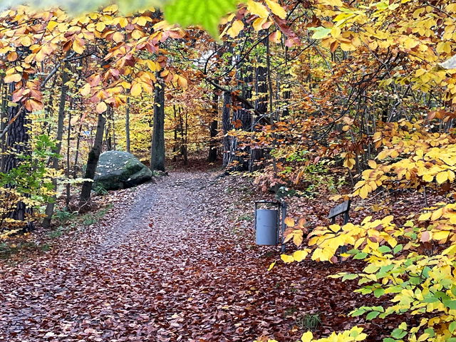 Strandpromenaden längs Svindersviken (stig)