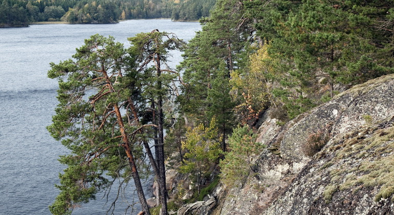Ågelsjön, Naturreservat
