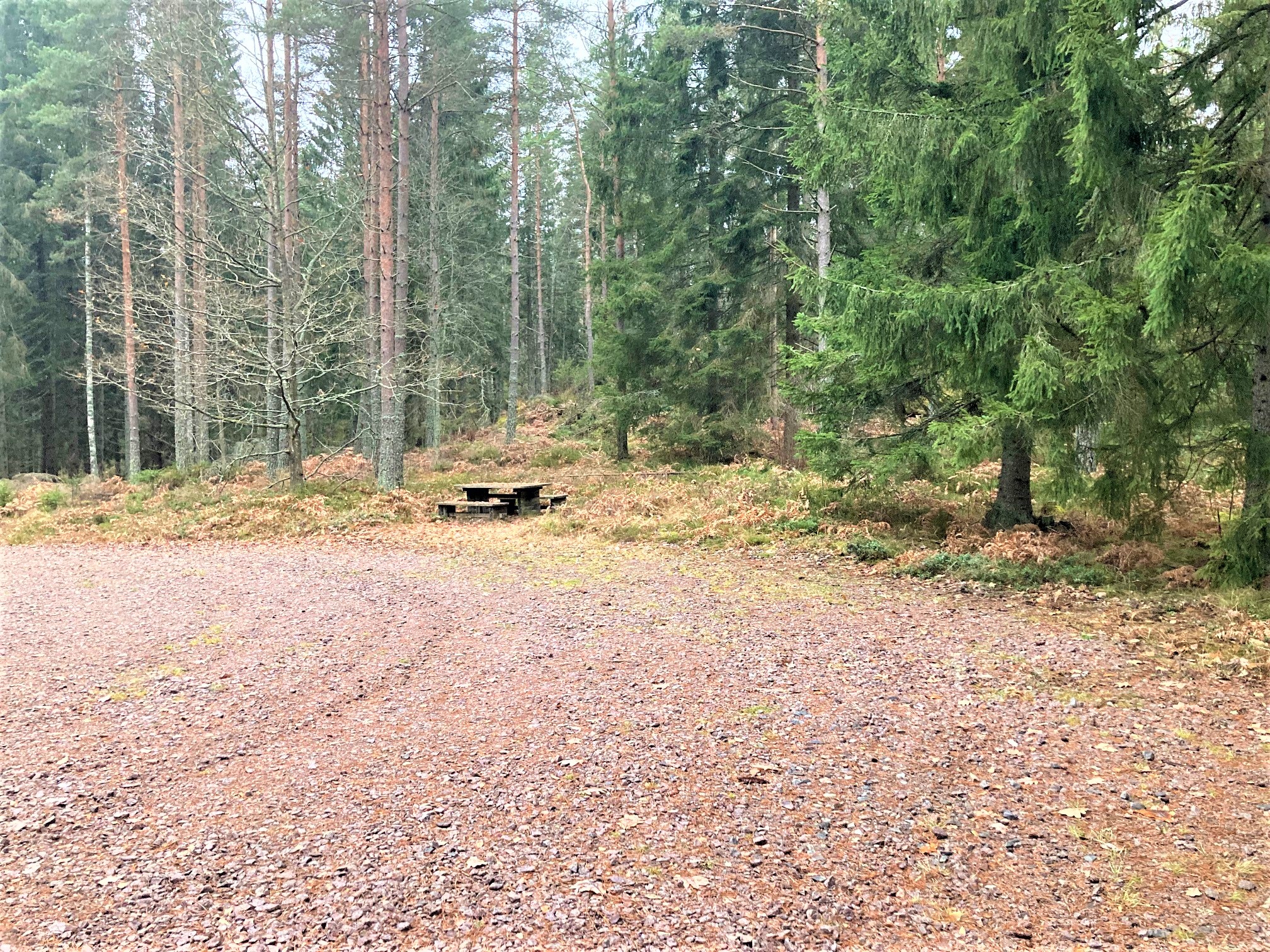 Bänkbord