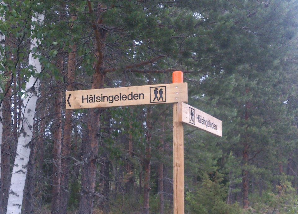 Vägvisare