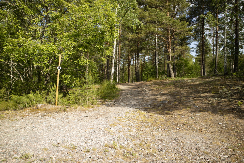 Grusväg som leder in i skogen på en stig.