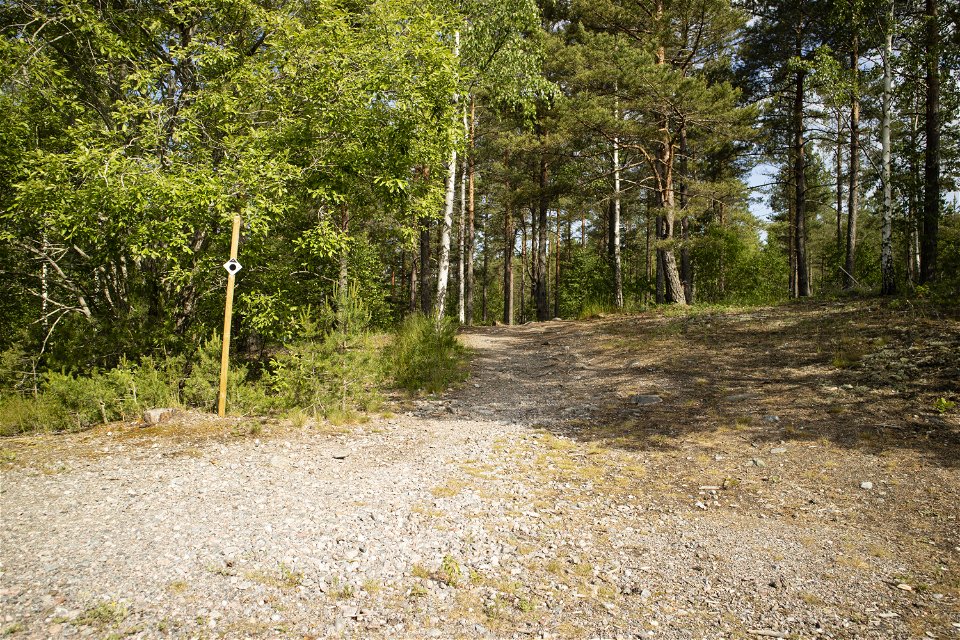 Grusväg som leder in i skogen på en stig.