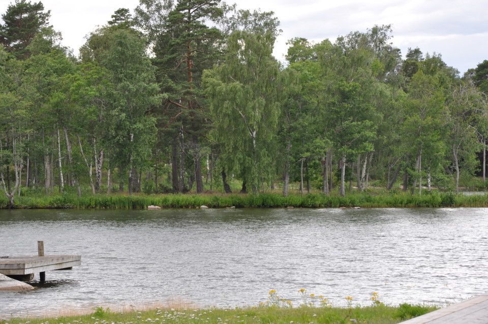 Leden går längs Mälarensstrand