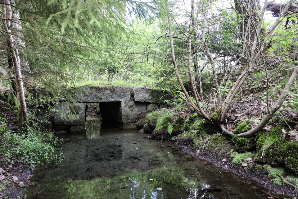 Foto: Niklas Kämpargård