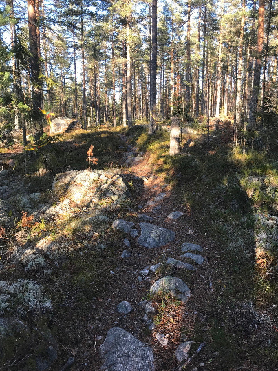 Leden går på fin, lite stenig stig.