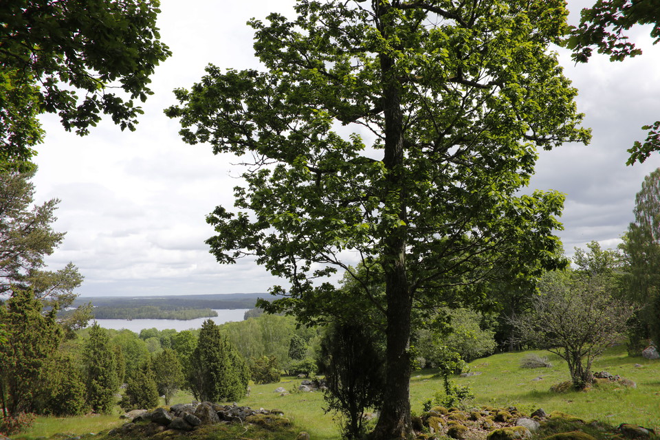 Pieboda Naturreservat.