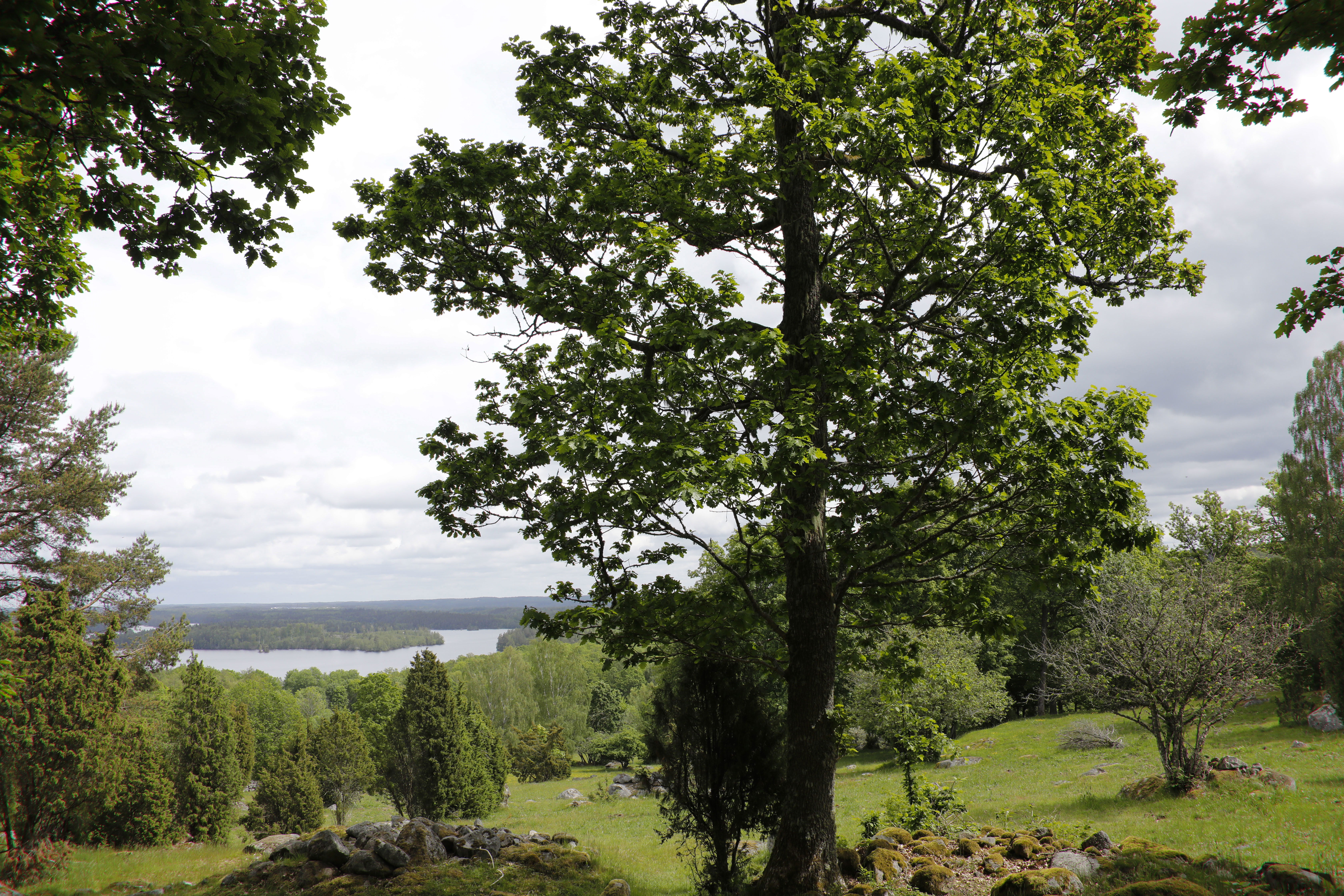 Pieboda Naturreservat.