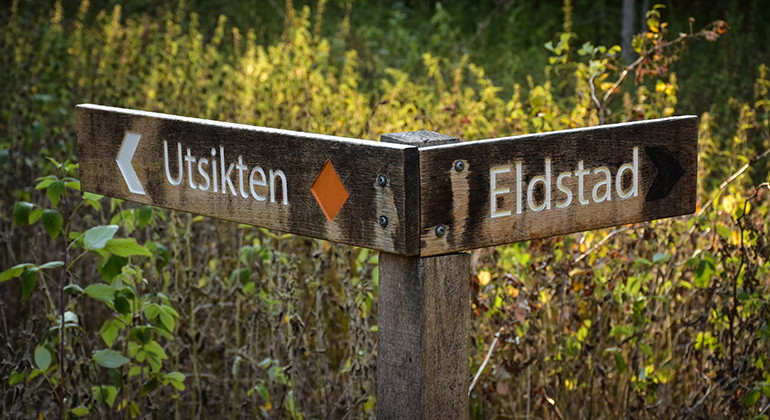Foto: Länsstyrelsen i Kronbergs län