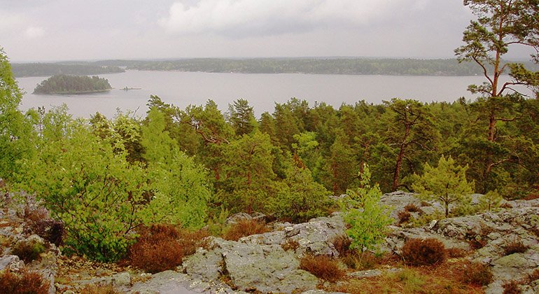 Utsikt från Örnberget