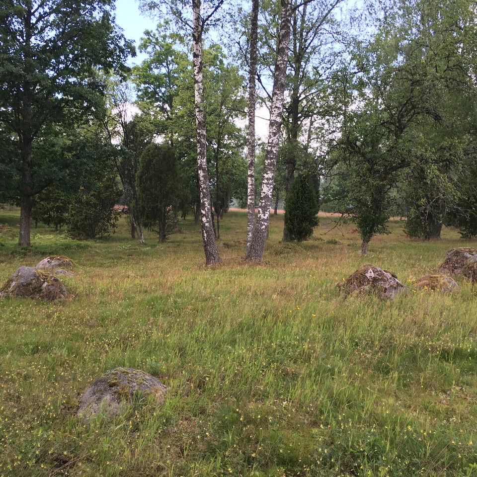 Fotograf: Ellen Flygare