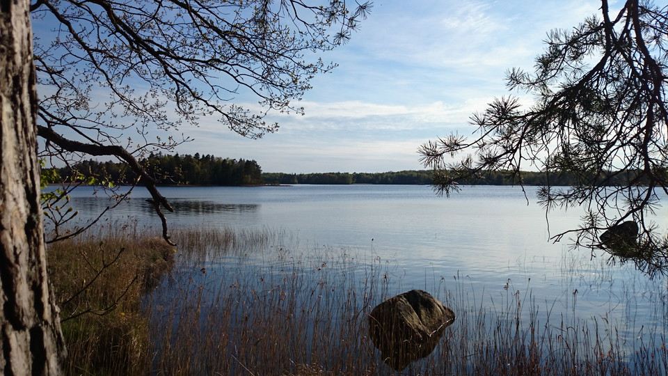 Fotograf: Peter Lönn