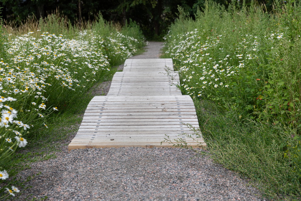 Vy över pumptracken. Ett av alla hinder.