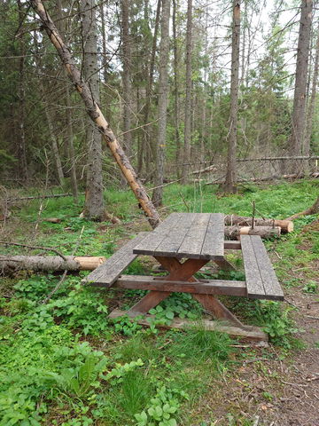 Rastplats Fågelsången