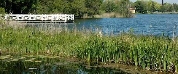 Rocksjön