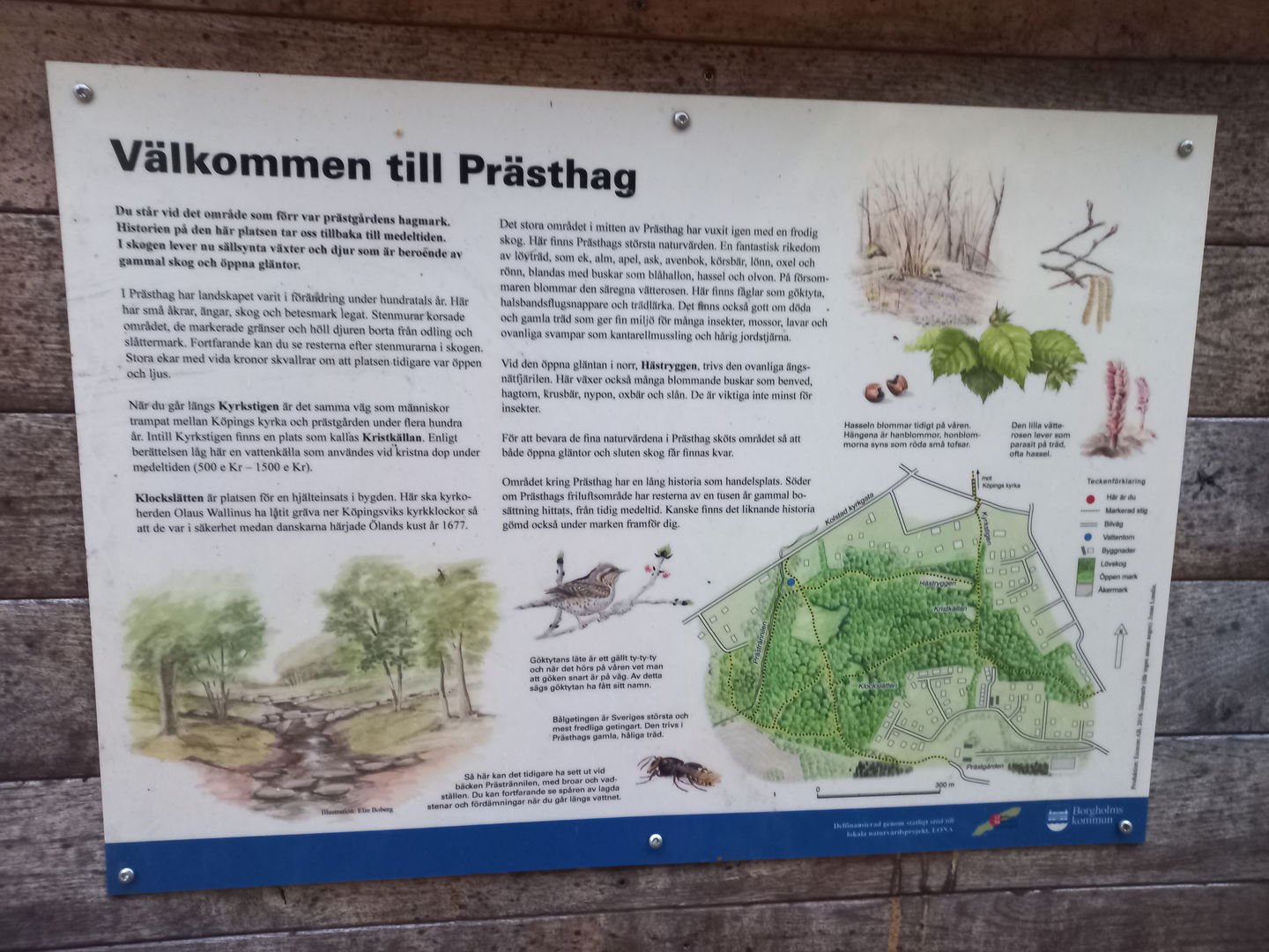 Informationsskylt