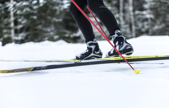 Lugnviks skidspår 2,4 km