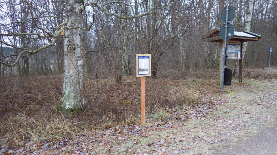 Hilkka M Kangas